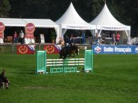 Anglica de Lapleurre double SF a Fontainebleau !