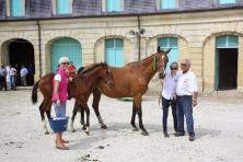 Excellents resultats pour les foals aux concours de Montier et Buzancy !